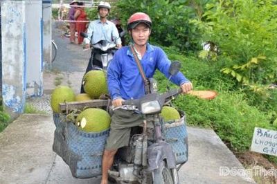 Giá mít dần phục hồi