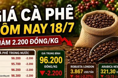 Giá cà phê hôm nay 18/7: Giảm sau hai phiên tăng