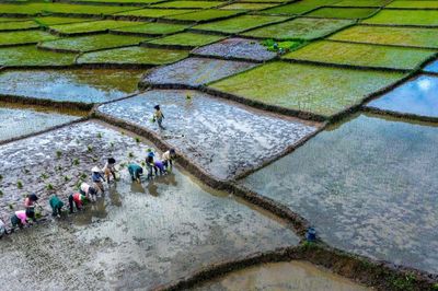 Tri thức địa phương - sinh kế của cộng đồng