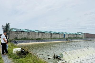 Nghề nuôi thủy sản và bài toán nguồn nước