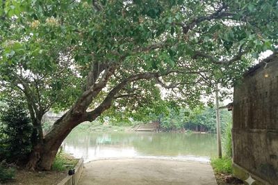 Nỗi nhớ tháng 7