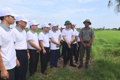 Đoàn công tác xã Lệ Thủy tham quan, học tập kinh nghiệm mô hình nông nghiệp hữu cơ tại xã Gio Linh