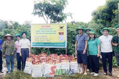 Hỗ trợ nông dân canh tác cà phê thích ứng với biến đổi khí hậu