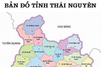 Theo dõi chặt chẽ diễn biến thời tiết, chủ động ứng phó với mưa lũ