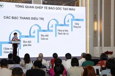 Tế bào gốc: Từ nghiên cứu lâm sàng đến ứng dụng thực tiễn