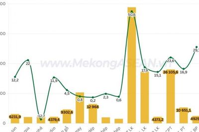 Xuất nhập khẩu đến ngày 15/7 đạt 600 tỷ USD, một mặt hàng nhập khẩu tăng mạnh