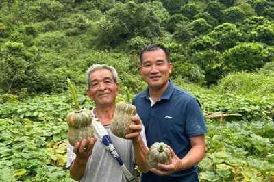 Hiệu quả từ mô hình chính quyền số