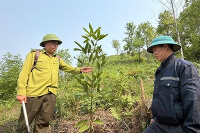 Mời doanh nghiệp, hợp tác xã tham gia kế hoạch hỗ trợ phát triển sản xuất theo chuỗi giá trị