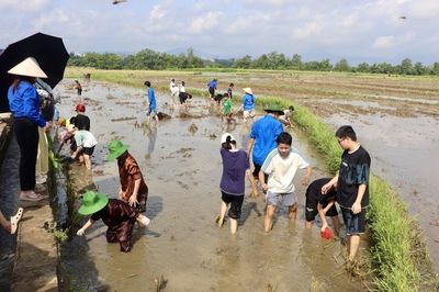 Chương trình trải nghiệm hè 'Em yêu đồng quê - Một ngày làm nông dân nhí' tại phường Nùng Trí Cao