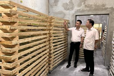 Liên minh HTX tỉnh khảo sát mô hình phát triển trồng dâu nuôi tằm tại xã Bảo Lạc và Cô Ba