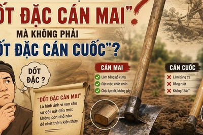 Vì sao người Việt nói 'dốt đặc cán mai' mà không phải 'dốt đặc cán cuốc'?