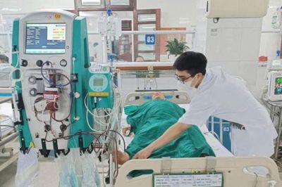 Ăn mật cá trắm, cụ ông suýt mất mạng phải lọc máu