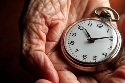 Phát hiện đột phá về não bộ có thể giúp người cao tuổi sống lâu hơn