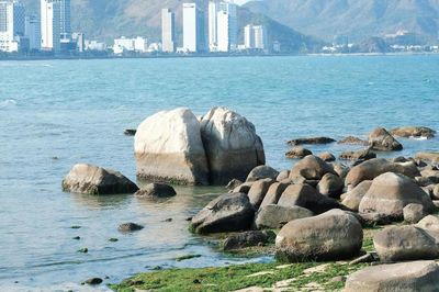 Khách vô tư bẻ san hô ở Hòn Chồng (Nha Trang)