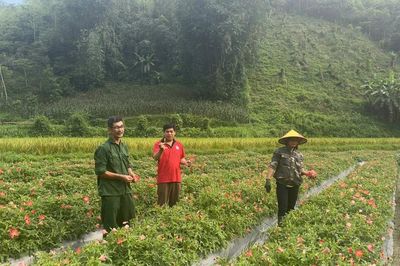 Phát triển đảng viên ở Thái Nguyên