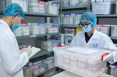 [Hỏi-Đáp] Phân công địa bàn tiếp nhận, giám định ADN mẫu hài cốt liệt sĩ như thế nào?