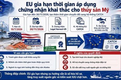 EU gia hạn thời gian áp dụng chứng nhận khai thác cho thủy sản Mỹ, tín hiệu gì cho Việt Nam?