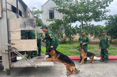 Trường Trung cấp 24 Biên phòng tăng cường lực lượng, khẩn trương tìm kiếm tại vị trí nghi có nạn nhân bị vùi lấp