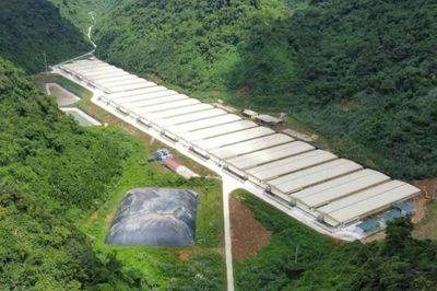 Ba người tử vong do tai nạn ở trang trại nuôi lợn tại Thanh Hóa