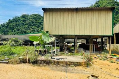 Cận cảnh trại lợn ở Thanh Hóa, nơi xảy ra vụ tai nạn khiến 5 người chết