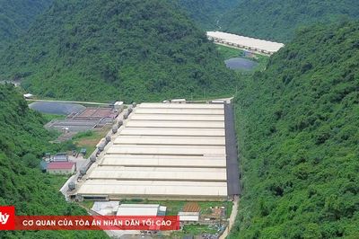 5 người thương vong tại trại lợn ở Thanh Hóa