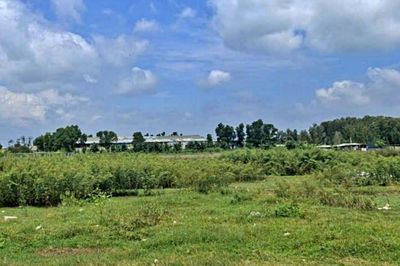Vợ mắng chồng nhu nhược giữa đám giỗ, cả họ nổi giận buông đũa