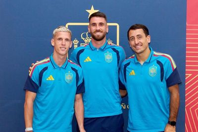 Xavi chỉ bài cho Tây Ban Nha đánh bại Argentina ở chung kết