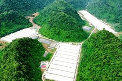 Điều tra toàn diện trang trại lợn để xảy ra vụ tai nạn khiến 5 người thiệt mạng