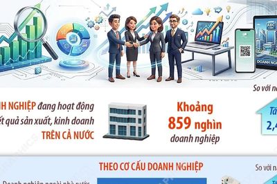 Tổng điều tra kinh tế 2026: Doanh nghiệp tiếp tục là động lực tăng trưởng