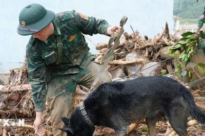 Lai Châu: Huy động chó nghiệp vụ tìm kiếm nạn nhân mất tích ở tâm lũ