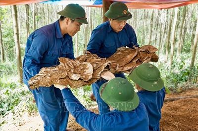 Hành trình tri ân chạm đến trái tim- Bài 1: Cuộc hành quân chưa kết thúc