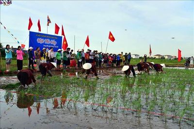 Lễ hội Xuống đồng khơi dậy giá trị di sản văn hóa vùng đảo Hà Nam