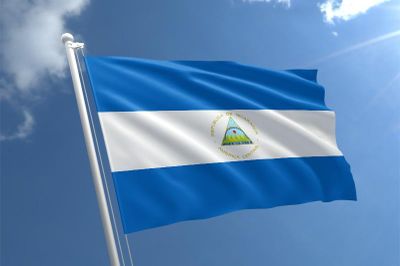 Điện mừng kỷ niệm 65 năm ngày thành lập Đảng Mặt trận Giải phóng Dân tộc Sandino Nicaragua
