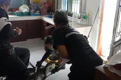 Vào phòng bếp, người phụ nữ bắt gặp cảnh tượng 'lạnh sống lưng' dưới bồn rửa bát