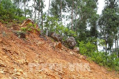 Tuyên Quang sẵn sàng ứng phó mưa lũ, sạt lở đất