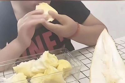 Bảo mẫu tự ý ăn sầu riêng của chủ nhà, phản ứng sau đó gây 'dậy sóng'