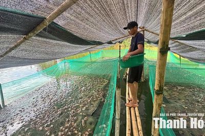 Thắp lửa khát vọng làm giàu của thanh niên