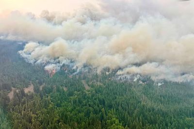 Thủ hiến Ontario phản đối chỉ trích của Tổng thống Trump về cháy rừng Canada