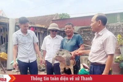 Ứng dụng khoa học - kỹ thuật làm giàu từ nuôi ba ba
