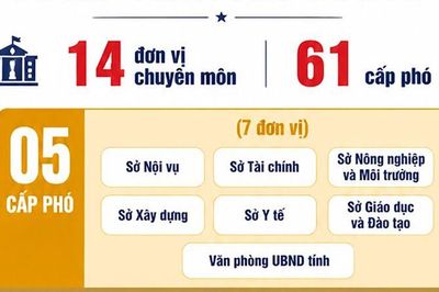 [Infographic] An Giang quy định số lượng cấp phó của các cơ quan thuộc UBND tỉnh
