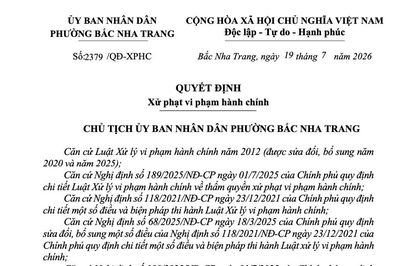 Xử phạt tổng cộng 50 triệu đồng đối với 2 du khách khai thác san hô trái phép