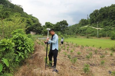Bát Xát tăng cường kiểm tra, ngăn chặn hành vi trồng cây nhằm trục lợi chính sách bồi thường