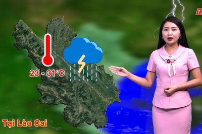 Dự báo thời tiết đêm 19 và ngày 20/7