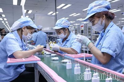 Doanh nghiệp Phú Thọ vượt rào cản để xuất khẩu