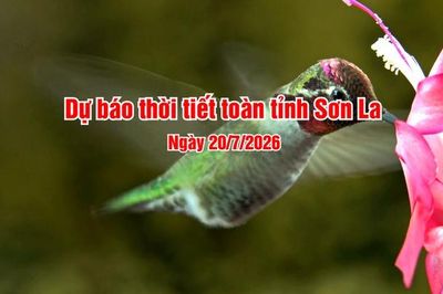 Dự báo thời tiết toàn tỉnh Sơn La ngày 20/7/2026
