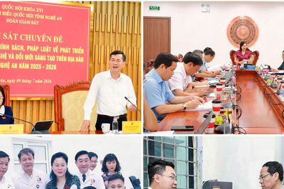 Đoàn ĐBQH tỉnh Nghệ An giám sát thực hiện chính sách, pháp luật về khoa học, công nghệ và đổi mới sáng tạo