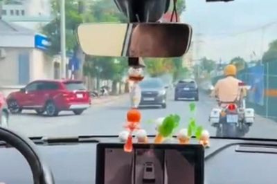 CSGT Hà Nội mở đường đưa sản phụ 'vượt cạn' thành công