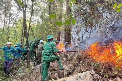 Liên tiếp xảy ra các vụ cháy rừng do thời tiết nắng nóng