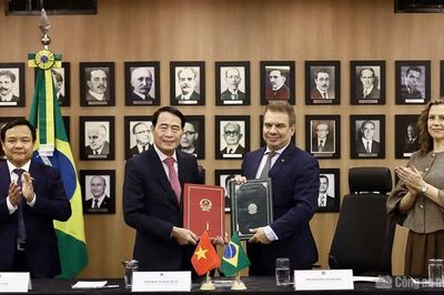 Mở rộng cơ sở pháp lý hợp tác phòng, chống tội phạm giữa Việt Nam và Brazil