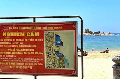 Khánh Hòa phạt 50 triệu đồng 2 khách du lịch bẻ san hô tại Hòn Chồng sau phản ánh từ mạng xã hội
